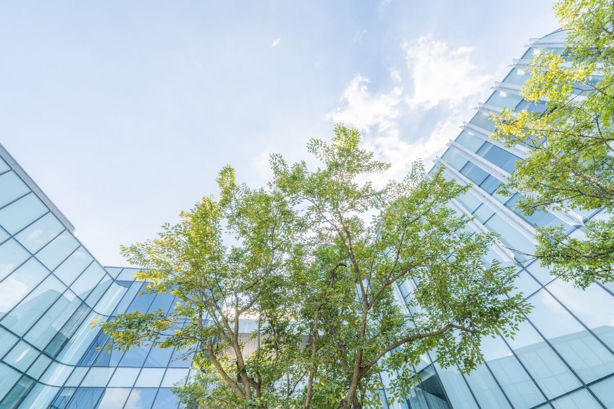 Investing in DZ HYP's Green Pfandbriefe Glass front of office building with bright green trees, above blue sky with white cloud