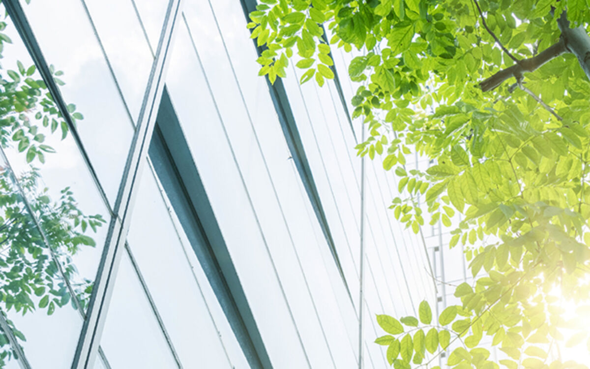 Modern glass facade of an office building with reflective windows mirroring green tree canopies. In the foreground, bright green leaves are illuminated by sunlight Modern glass facade of an office building with reflective windows mirroring green tree canopies. In the foreground, bright green leaves are illuminated by sunlight